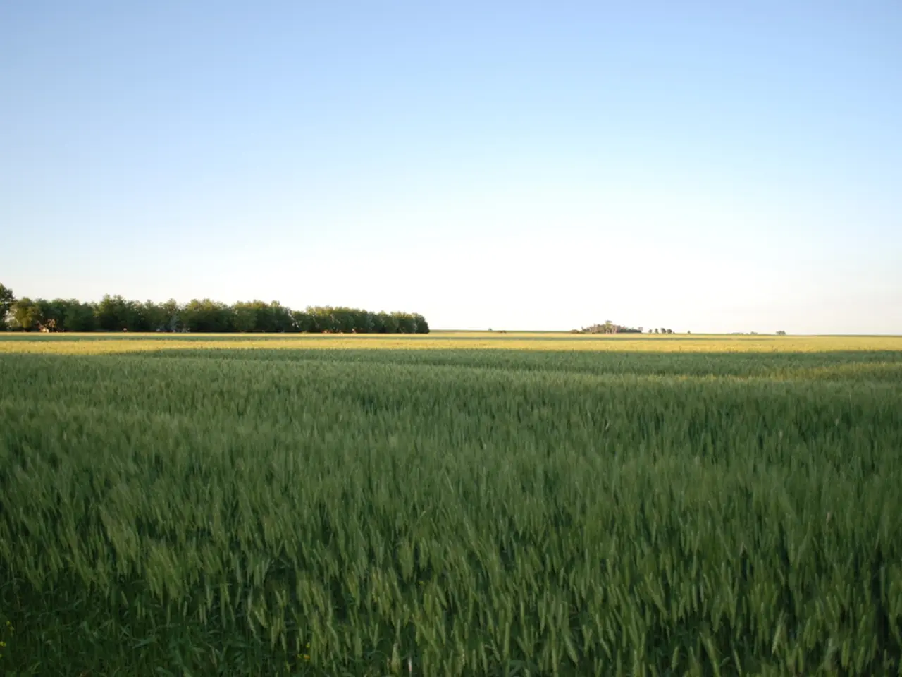 Celebration of the Final Sunday in July in Ancient Irish Tradition