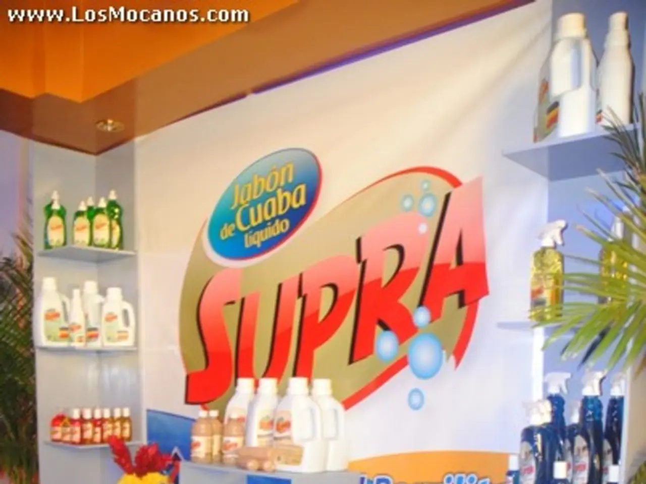 Top 11 Costco Items with Instant Discounts Available Now