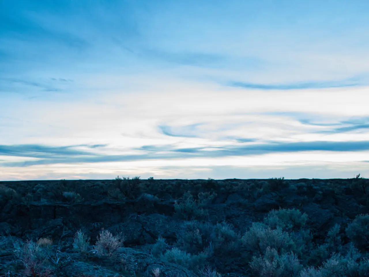 In my wilderness adventure, I've learned that venturing into the forest without a tampon is...