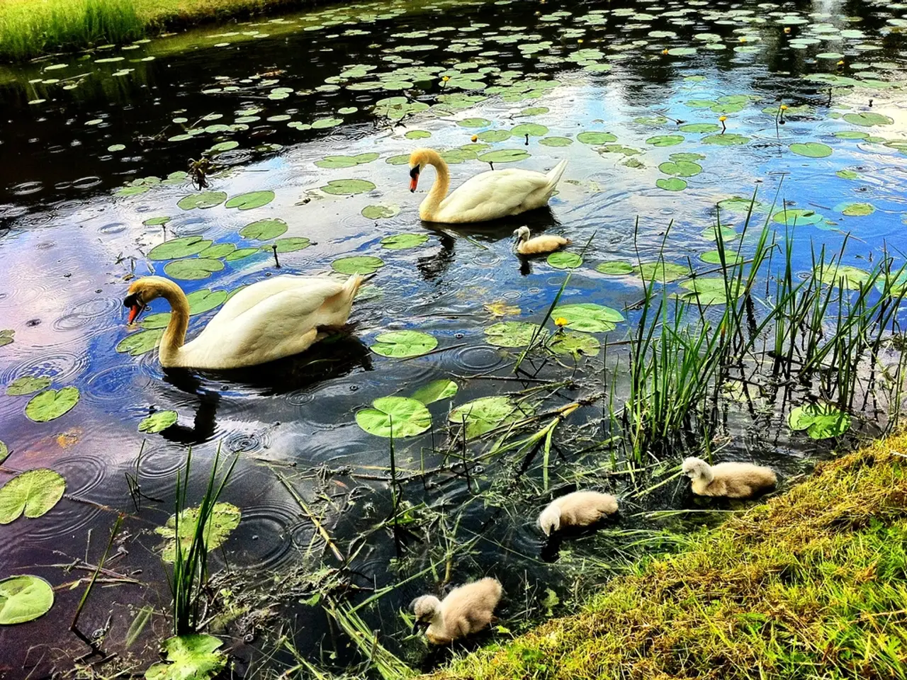 City by the Riverside