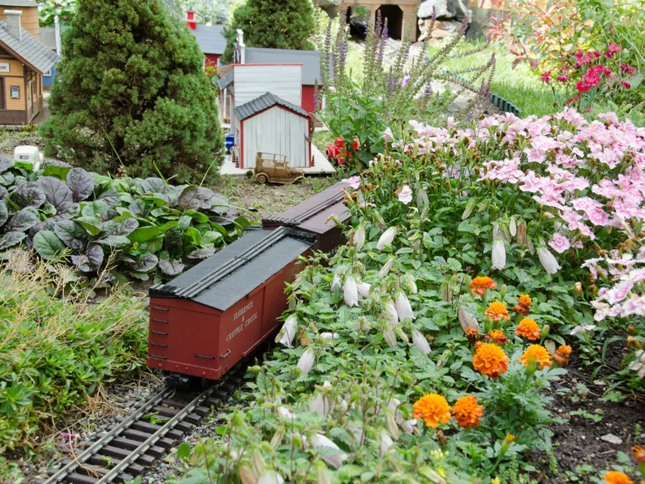 Exploring the magical past of the Witch's Cottage