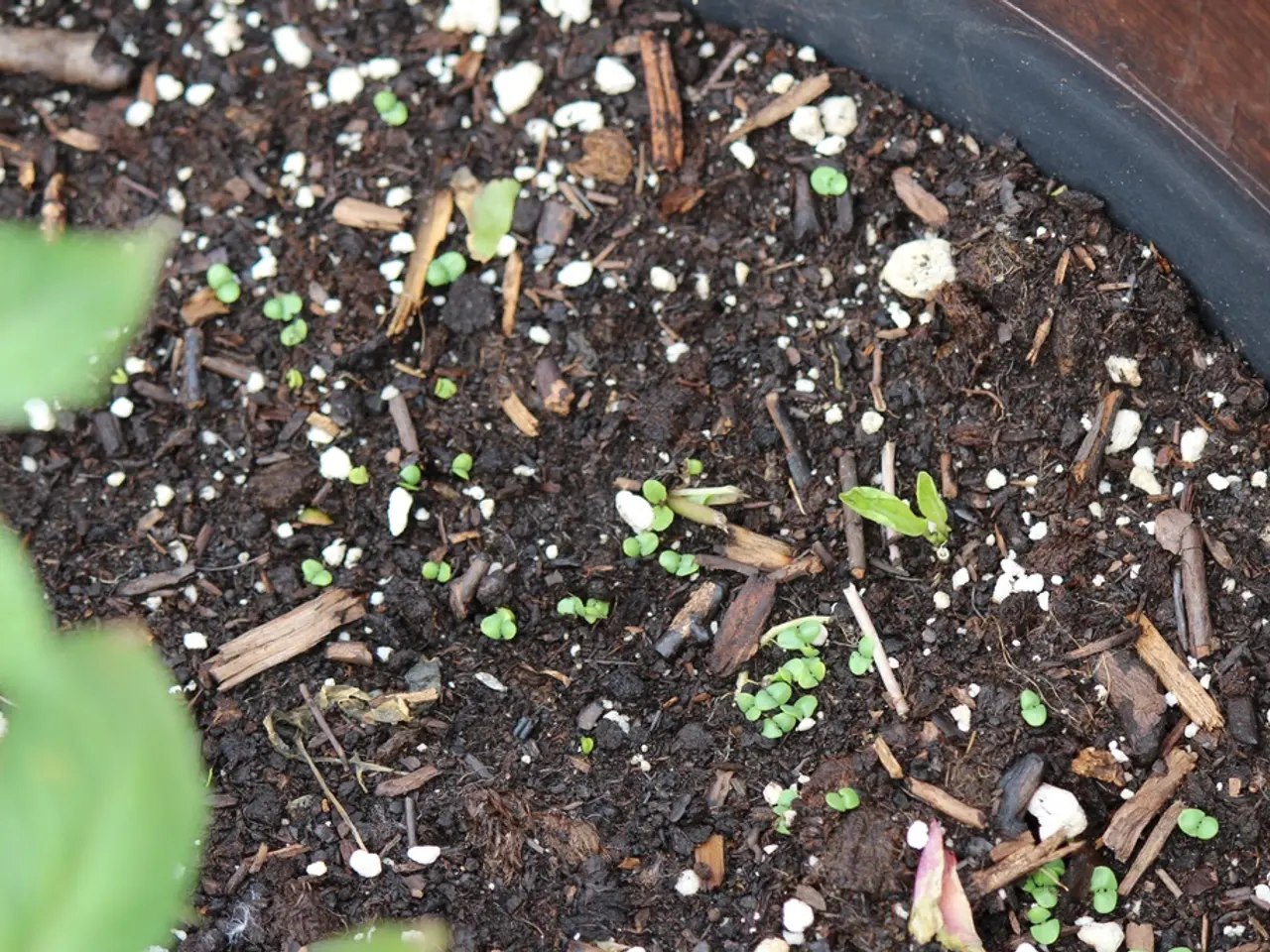 Exploring Soil Composition: A Pre-Planting Primer for Inexperienced Gardeners