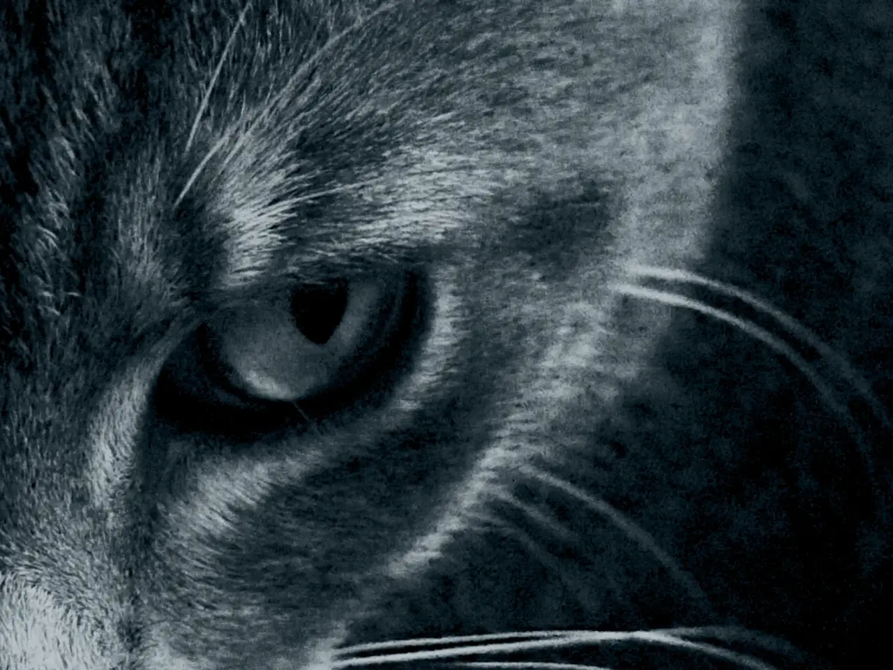 Unveil the secrets: Discover the concealed beast in mere six seconds!