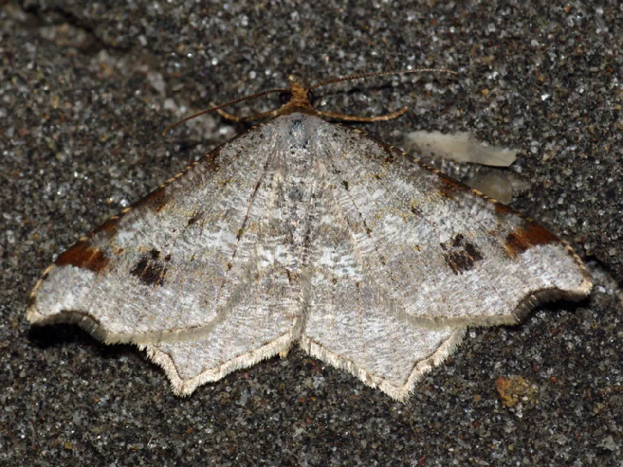 Improving Home Energy Efficiency and Comfort through Crawl Space Insulation