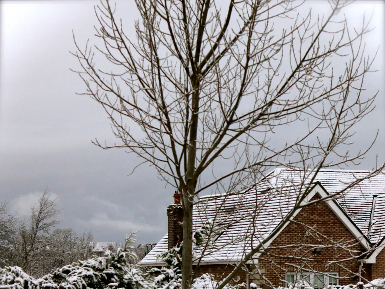 Tending to Your Interior Greenery in the Chilly Seasons