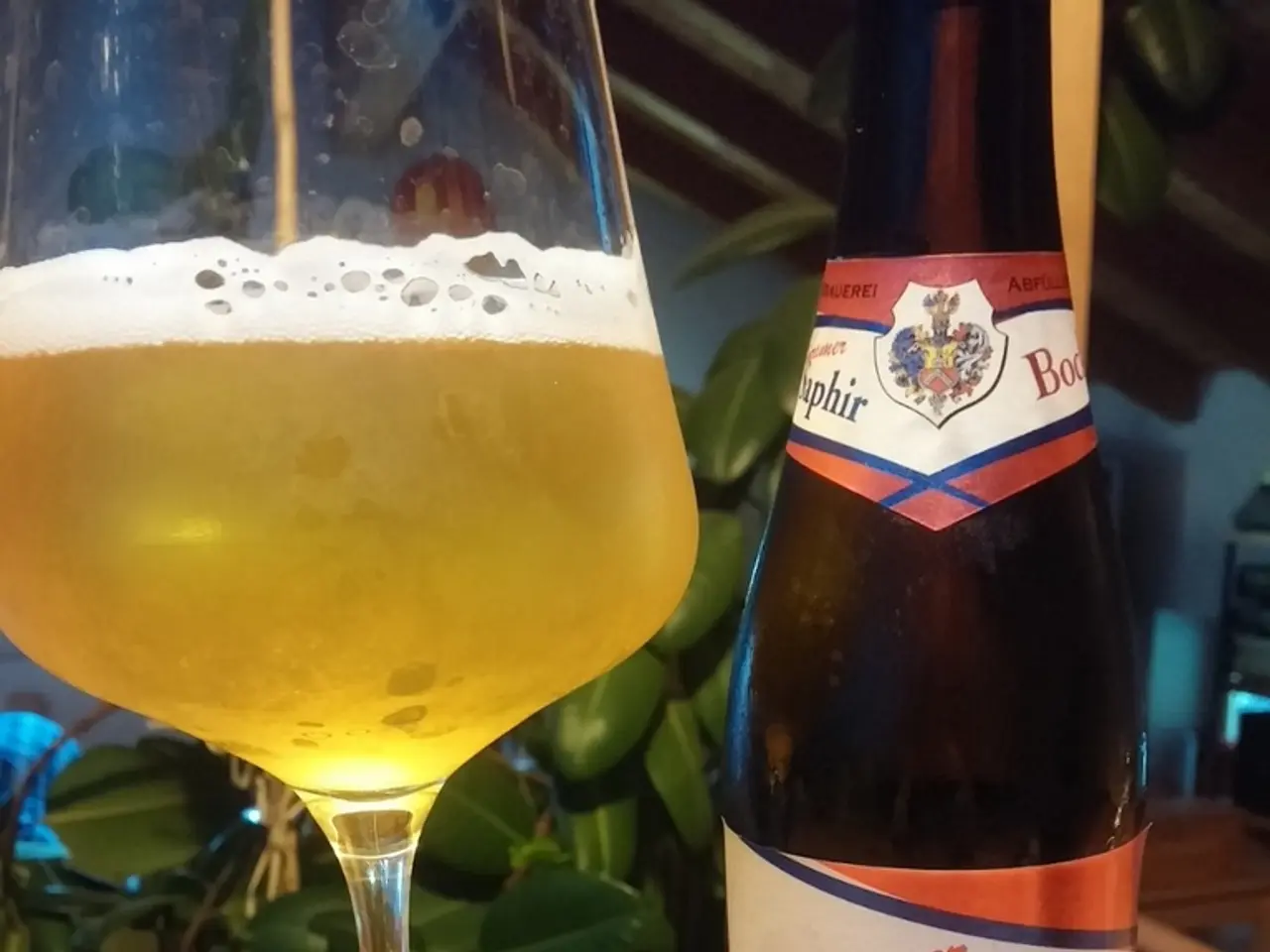 Steel Oasis proclaims: Spring's arrival is imminent, according to its statement.