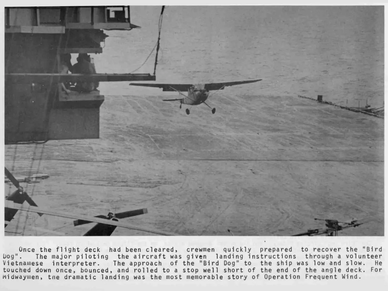 Unique Aircraft Identifier - A Must-Have for Devoted Aviation Enthusiasts