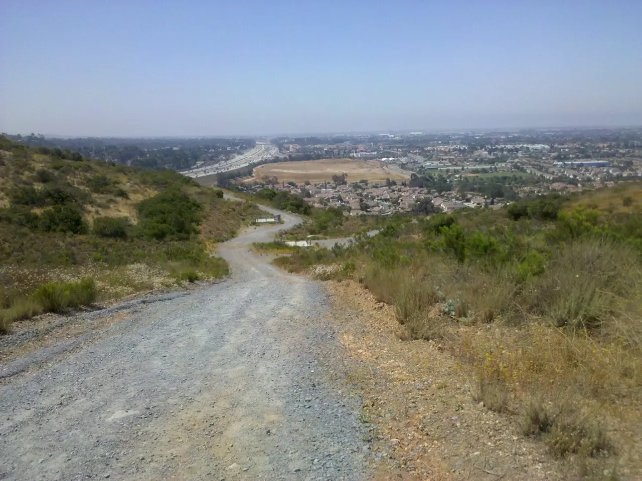 Vegetated Pathways Traversing Gronau