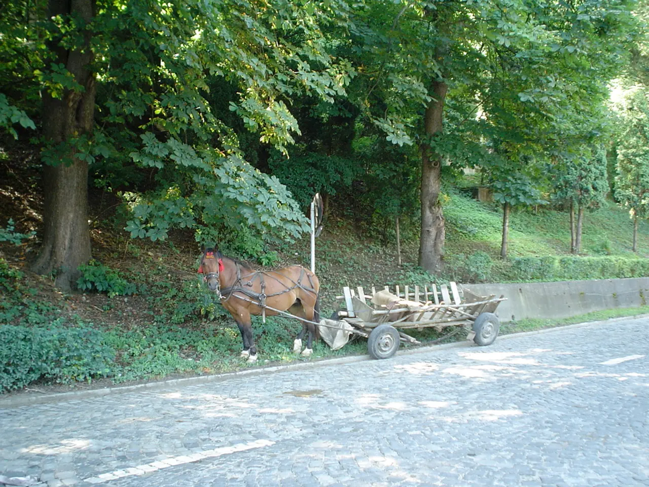 Renewed attempt by a Queens legislator to prohibit horse-drawn carriages, spurred by the tragic...