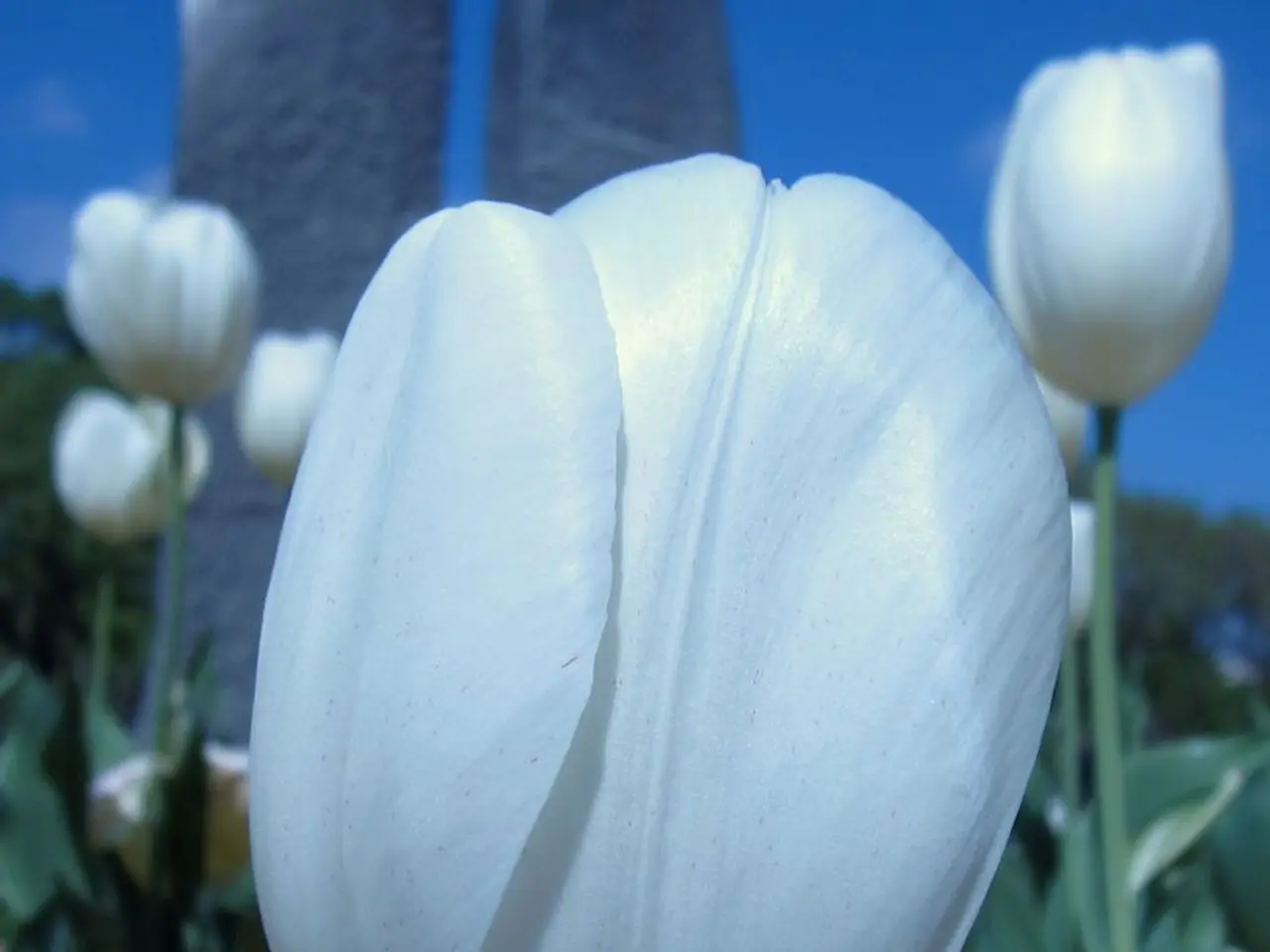 In the foreground of this image, there are artificial flowers to the plants and in the background,...