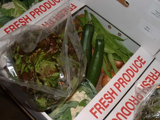 Five Combinations for Growing Crops in Containers: