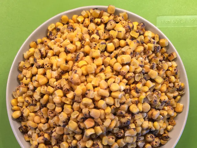 Planting Corn in Zone 8b: Crucial Timing Guidelines