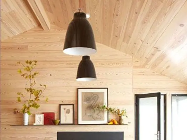 Transform your living spaces into tranquil Zen havens with these top-tier Japanese houseplants: