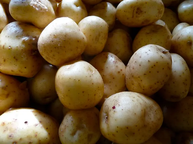 Master the Art of Potato Preservation: Learn Grandma's Unveiled Secret to Maintaining Freshness