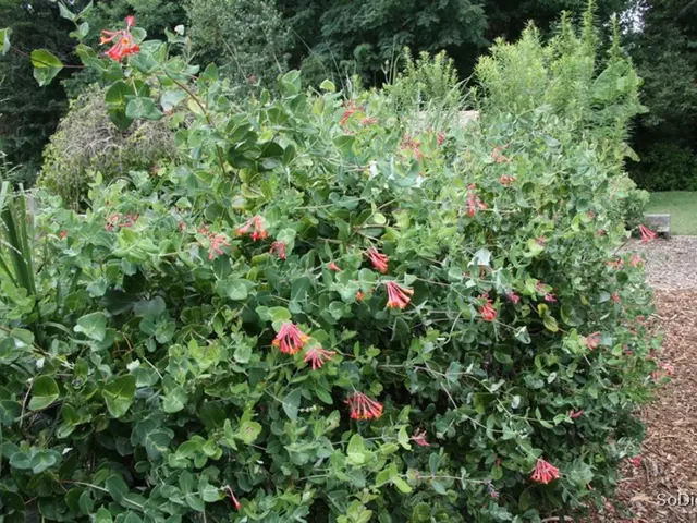 Top Picks for Gardening Across Utah's Seasons