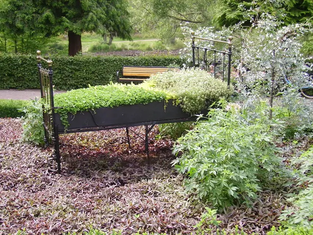 Techniques for Nurturing Mature Garden Plants - Expert Advice for Blooming Climbers, Creeping...