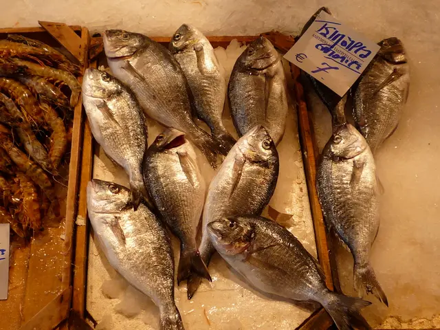 Caring for Peppermint Shrimp: A Comprehensive Guide