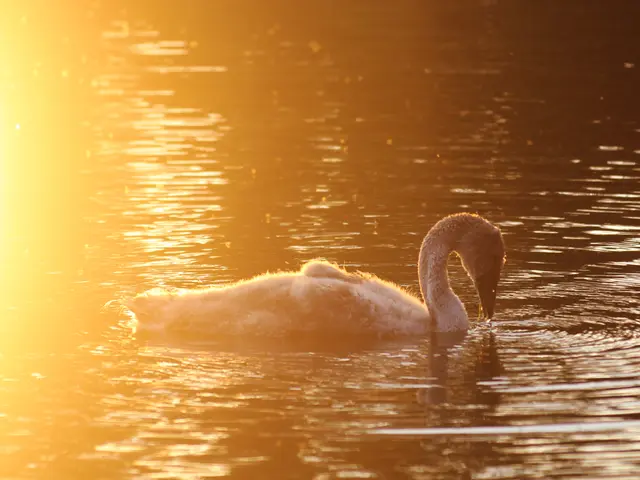 Transforming Data Science Workflows Using ETL Pipelines with DuckDB