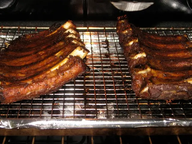 Cooking on the Move: Frequent Usage of Disposable Grills by Germans