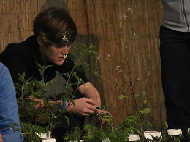 Top-Quality Eco-Friendly Clothing Options for Kids