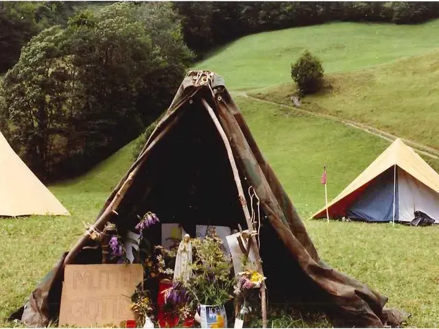 Create and Nurture a Small, Charming Floral Haven: A Medley of Blossoms for Your Humble Abode...