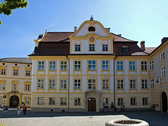 Efficient Methods for Assisting Elderlies in Decluttering and Streamlining Their belongings