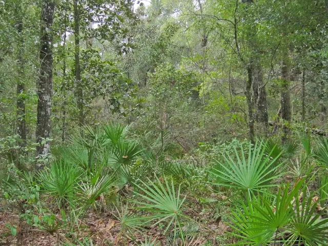 Commemorating Earth Day 2025, tree and shrub planting initiative in schools and kindergartens...