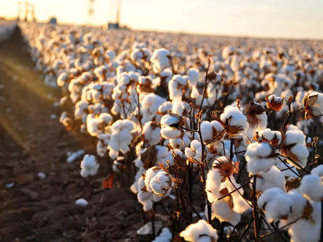 Is Organic Linen a Necessity?