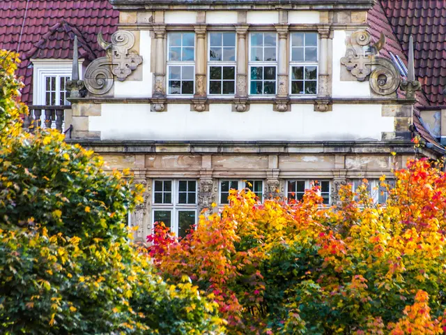 A Contemporary Treehouse Retreat Offering Breathtaking Panoramas from its Open Layout
