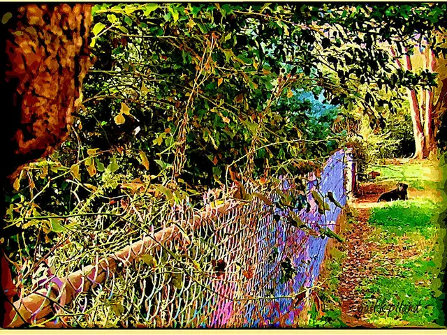 Practical and Affordable Fence Solutions for Canines: Proven Strategies That Deliver Results