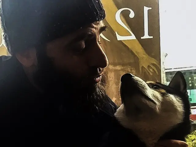 A Comprehensive Overview on Picking the Right Bark Control Collar for Larger Canines