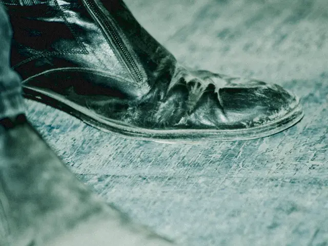 Removing Dog Urine Stains from Leather Shoes: A Guide