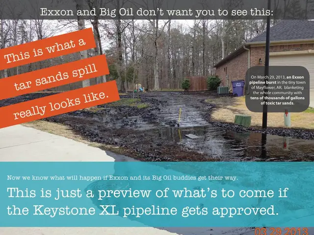 Breaking Down Organic Waste: A Guide to Composting at Home