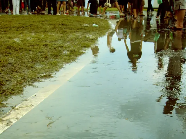 Irrigation Schedule for Your Garden: Timing and Techniques