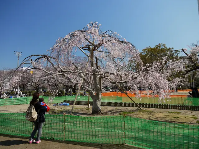 Revamped Headline: The Benefits of Devoting Your Family Holiday to Serving on Public Property