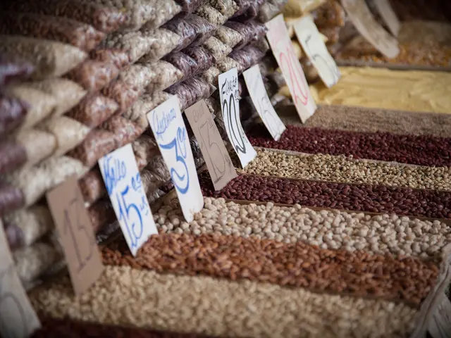 Comprehensive Handbook on Using Grains and Malt for Home Brewing beer Enthusiasts