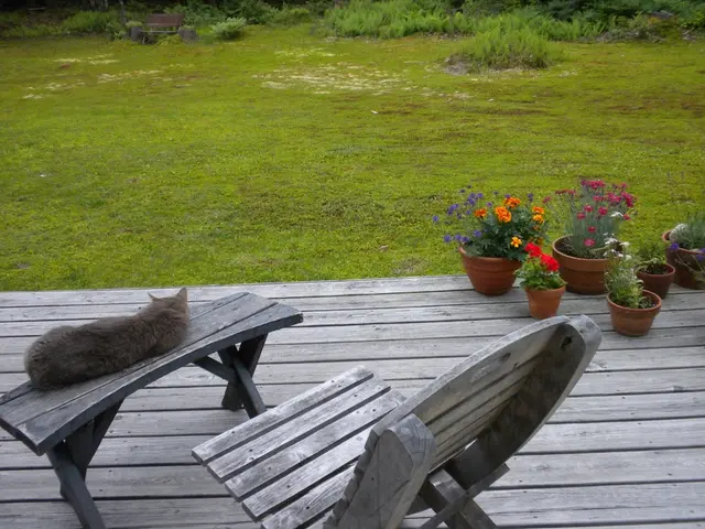 Unexpected twists unravel the enigma of the deceased porcupine