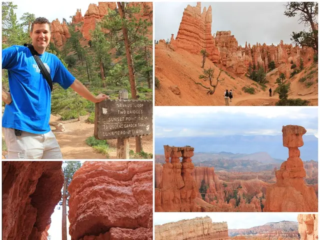 Destruction of Satyajit Ray's family home was momentarily stopped, following the dismantling of its...