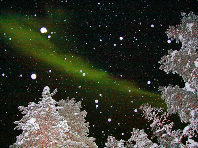 Preventing and Treating Freeze Damage in Boxwood Shrubbery