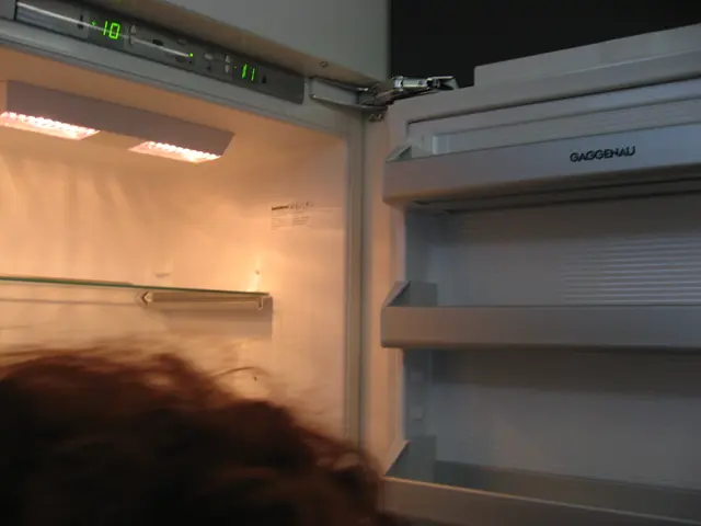 Thawing coolers proves a straightforward process.