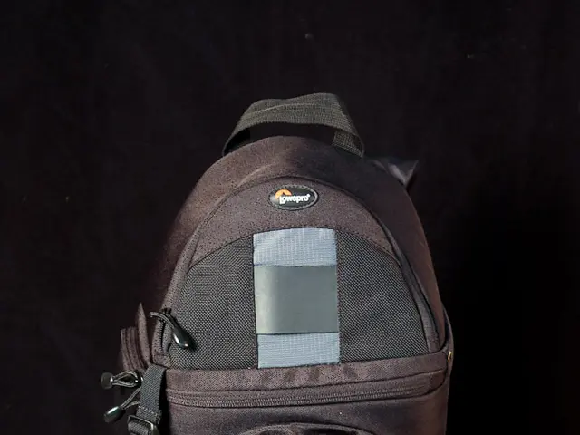 Forward-Thinking Packaging: Zippered Bags Leading the Way in Innovation