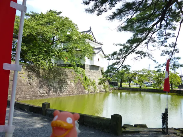 Over a dozen high-quality star trail images, ready to use without licensing fees provided