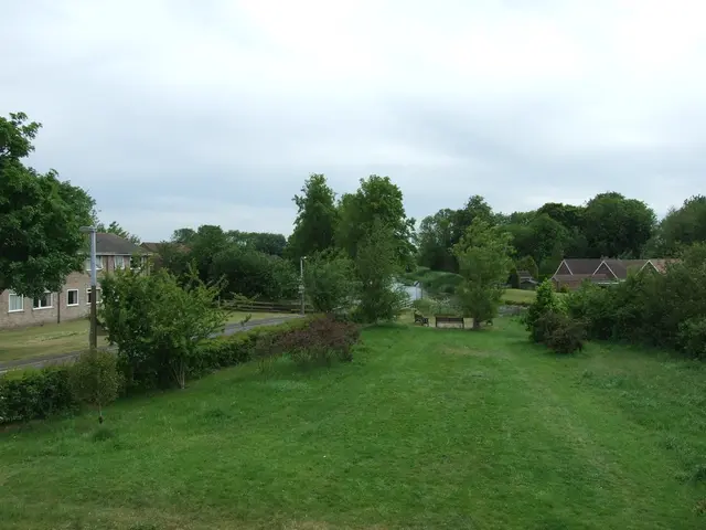 Investigating the Extent of Your Digital Ties: Are You Overlinked?