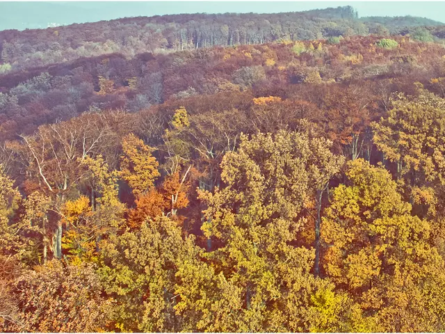 Shifting focus in the garden: Is it now lemons over apples due to climate change? A fresh challenge...