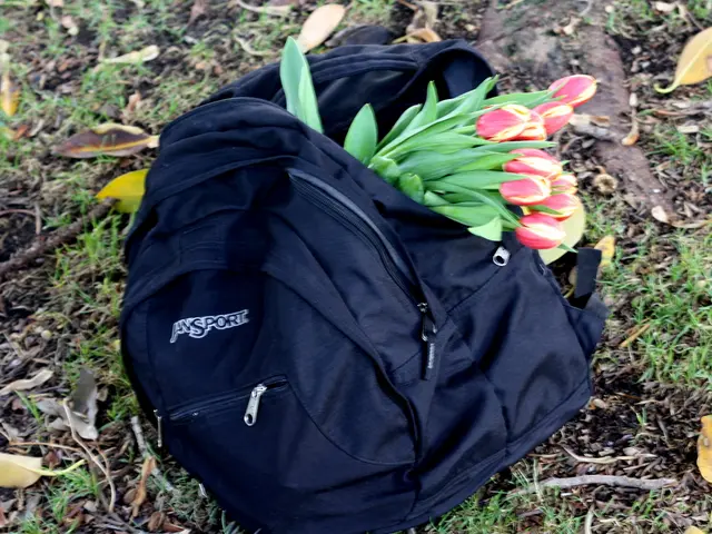 Fabric Grow Bags Provide Superior Growth Conditions Compared to Traditional Plastic Planters