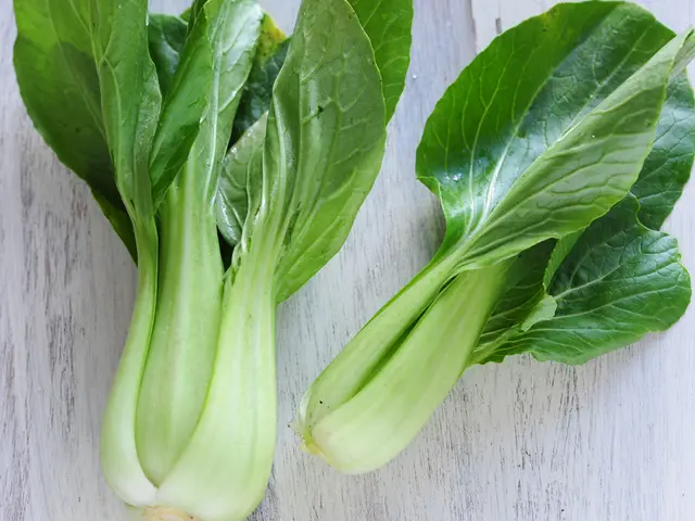 Top Notch Winter Vegetables for Cultivation