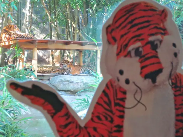 Exploring the Texture of a Tiger's Tongue: A Sensory Exploration