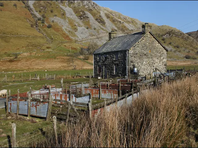 Neighbors' Unkempt Hedge Divides Couple and Neighbors, Leading to a Five-Year Controversy that...