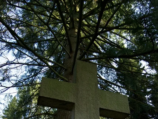 Injuries reported in second suspect apprehended