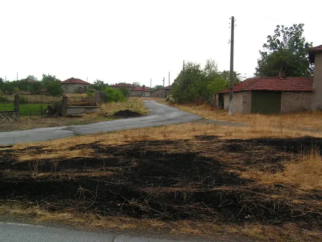 Experience the engaging demonstration of carbon capture in nature at Kew Gardens, London